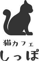 猫カフェ しっぽ